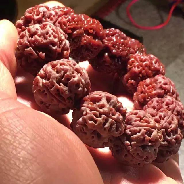 金刚菩提怎么玩才是真的,金刚菩提应该怎么玩