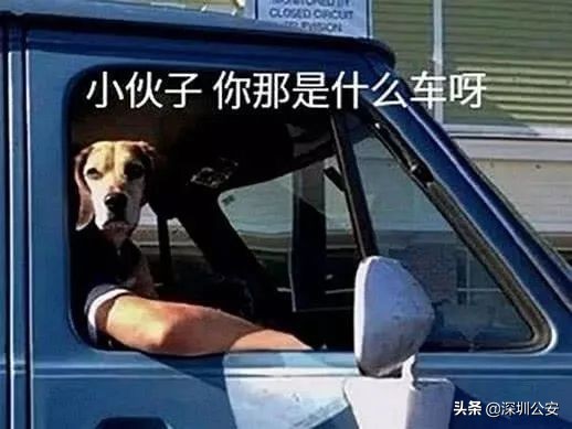 男子开车撞倒保安,男子骑车险被铁门砸到