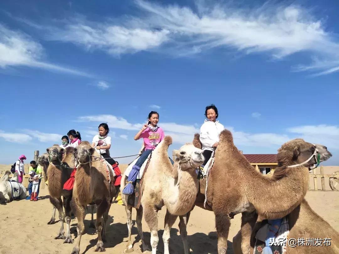 株洲校园小记者十强百佳千优活动,校园记者选拔