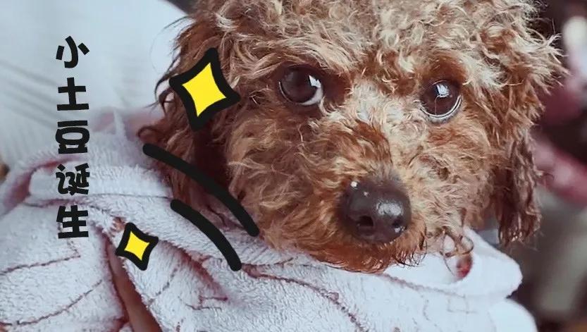 疫情怎么帮娃洗澡,疫情期间怎样在家洗澡