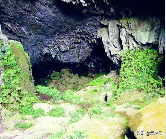 贵州格凸河风景图,贵州紫云格凸河旅游