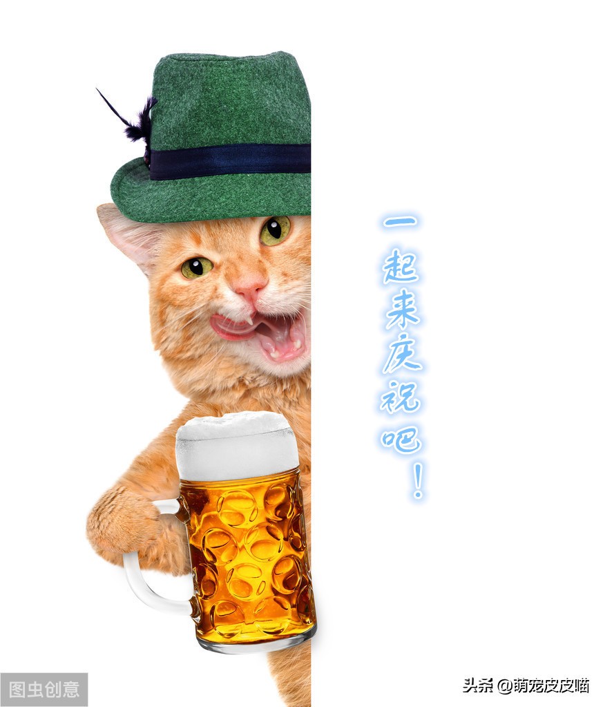 猫咪对着主人放屁是为什么,猫咪放屁特别臭是怎么回事