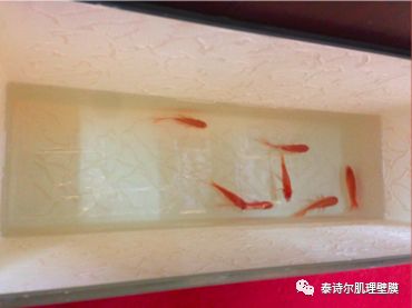 旧墙翻新太头疼？泰诗尔帮你一步解决墙面烦恼！