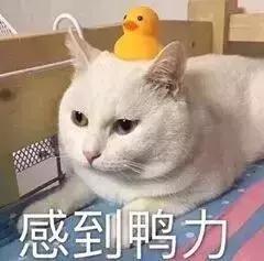 新税法的目的是啥,在香港工作一年要交多少税