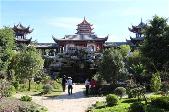 红色宝石树图片,红色宝石