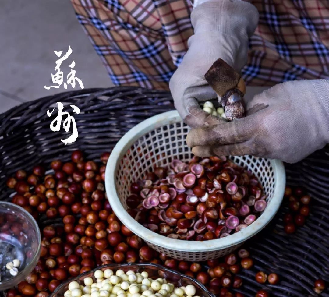 苏州国际禅意设计周,上海国际设计周苏州
