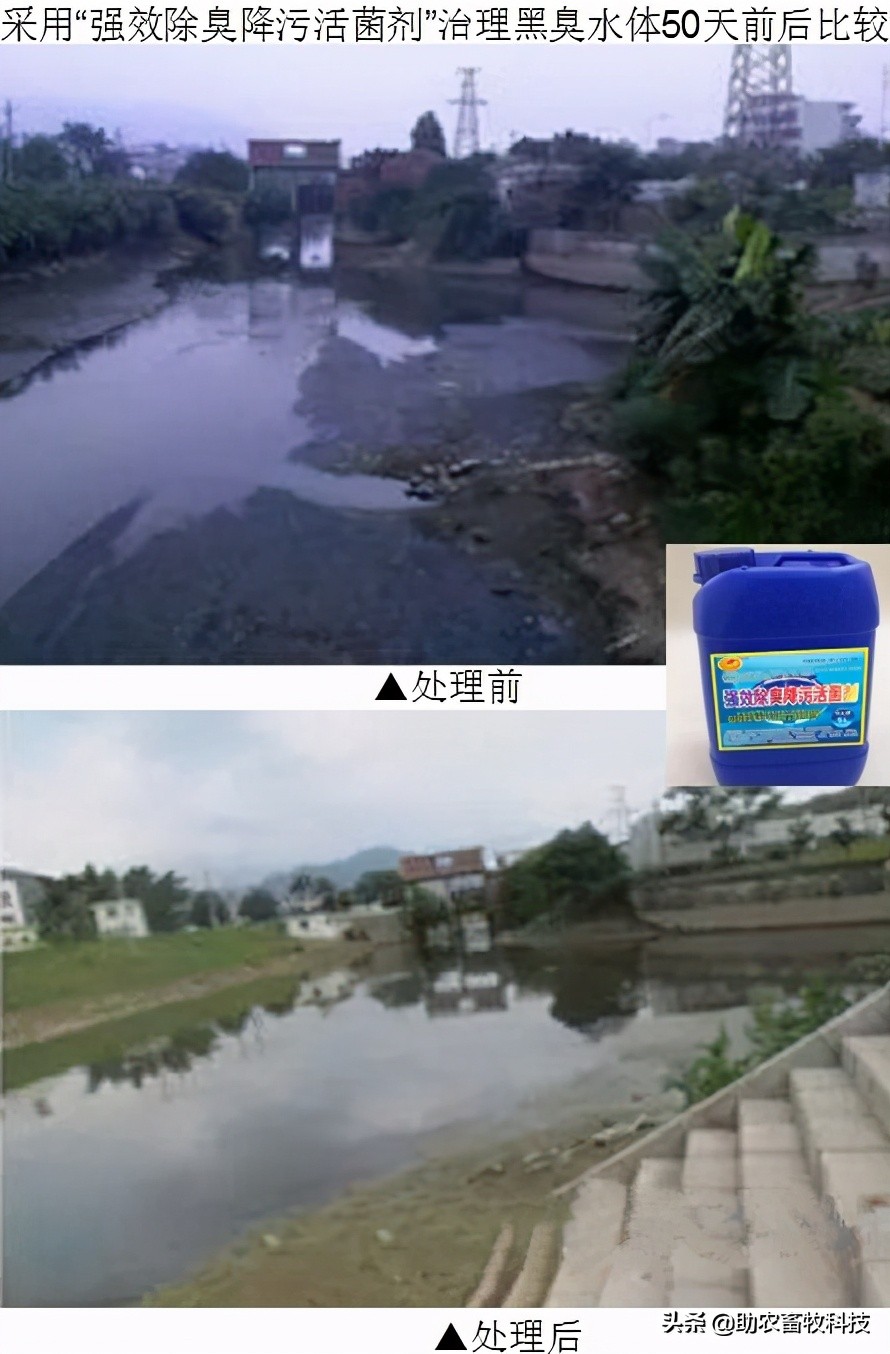 强力除臭除菌剂,脏水处理除臭菌剂厂家推荐