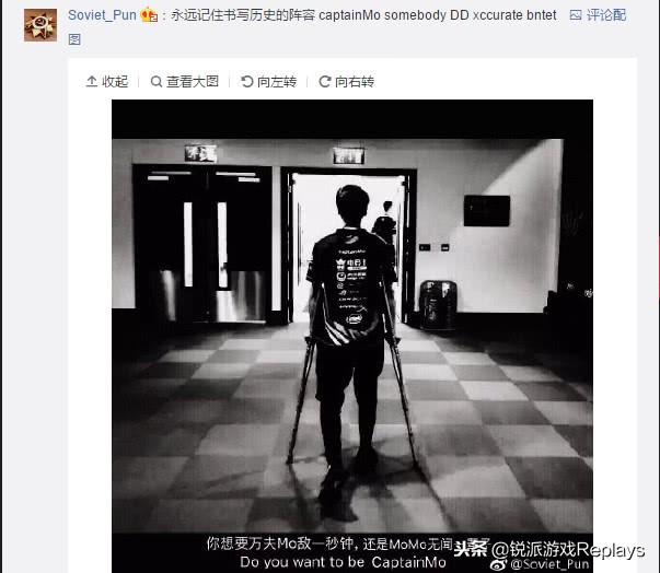 cy1为什么叫白菜,cy1和天禄发生了什么