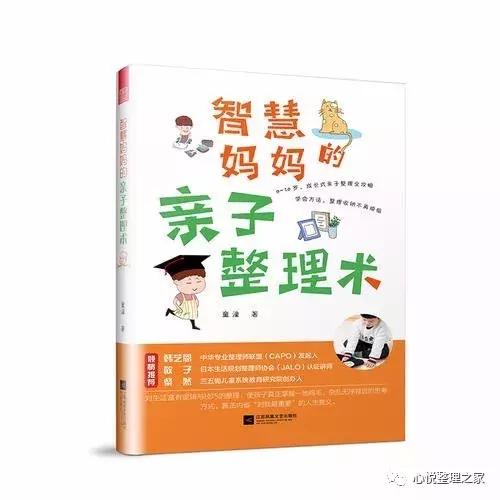 高级整理收纳师整理过程,整理师如何收纳玩具