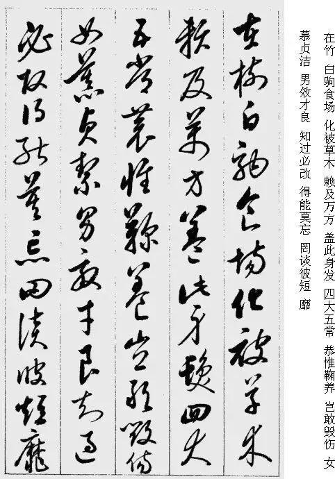 启功沁园春雪书法作品欣赏,启功草书千字文多少钱