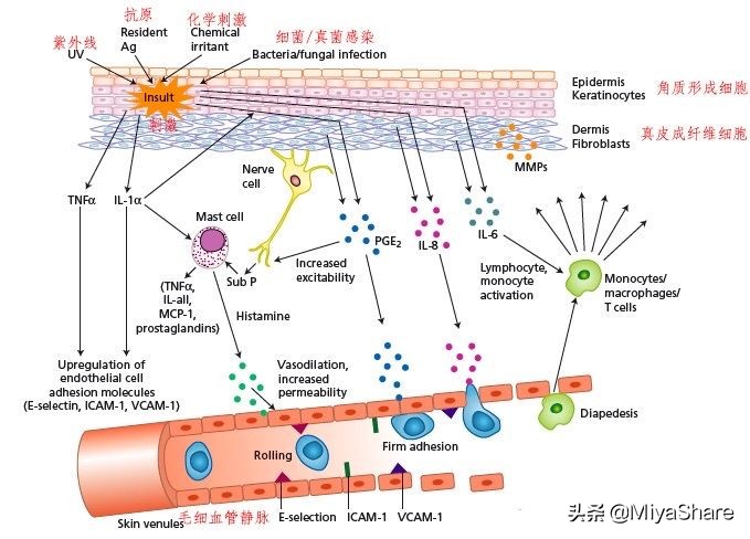 会护肤的女人难变老,会保养护肤的女人多厉害