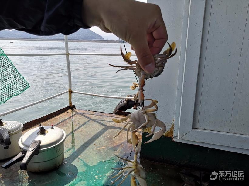 奉化海鲜自助餐有没有帝王蟹,奉化海鲜餐推荐