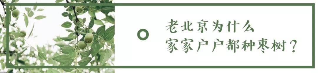 牛街属于南城吗,牛街名字的由来