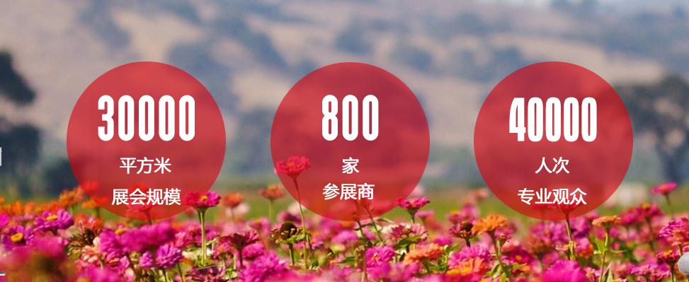 2020上海国际服装博览会,上海鞋业博览会2024