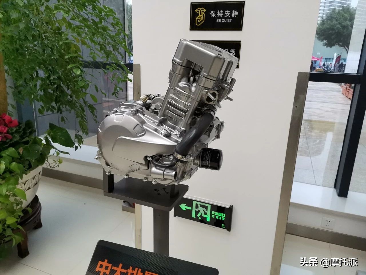 赛科龙2020新品发布，关键词“保持冷静，耐住寂寞，觉醒绽放”