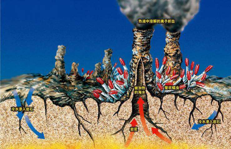 450℃海底热泉旁生活着的大虾，该如何才能煮熟？