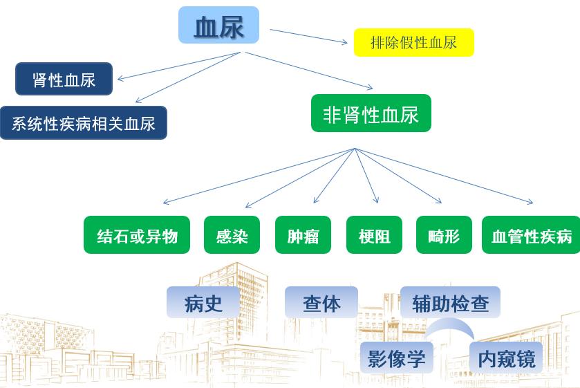 血尿的常见原因？尿隐血如何找原因呢？