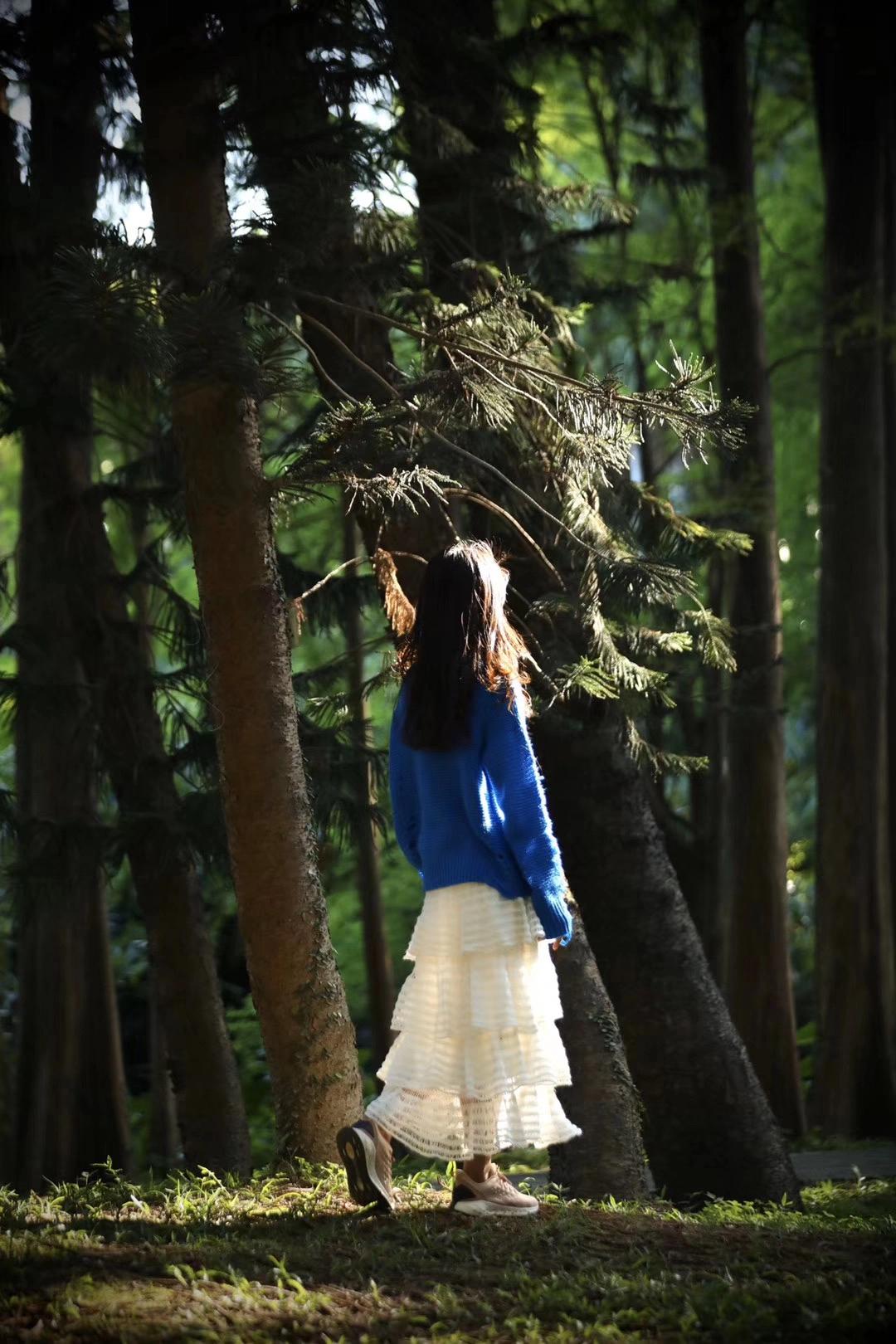 新高尔夫8优缺点,高尔夫优缺点