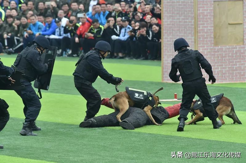 梧州公安演练,全市公安特警比武开幕式