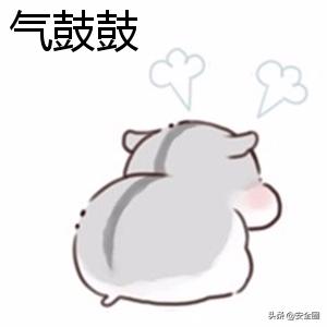 黑客电脑被黑客黑了,被黑客黑了的电脑是什么样