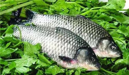 华夫饼哪个牌子是正宗的,便宜的华夫饼能买吗