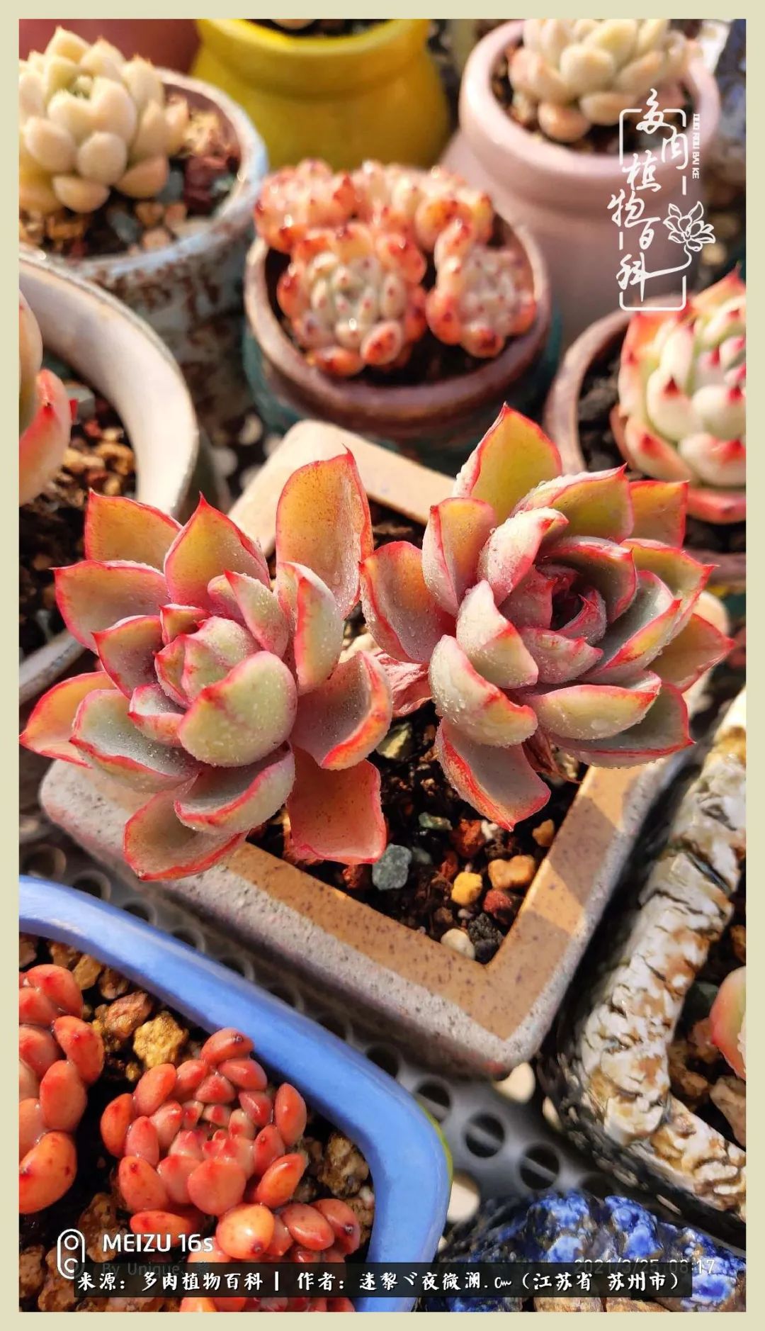 秋尽冬来岁月不居时节如流,岁月不居时节如流水