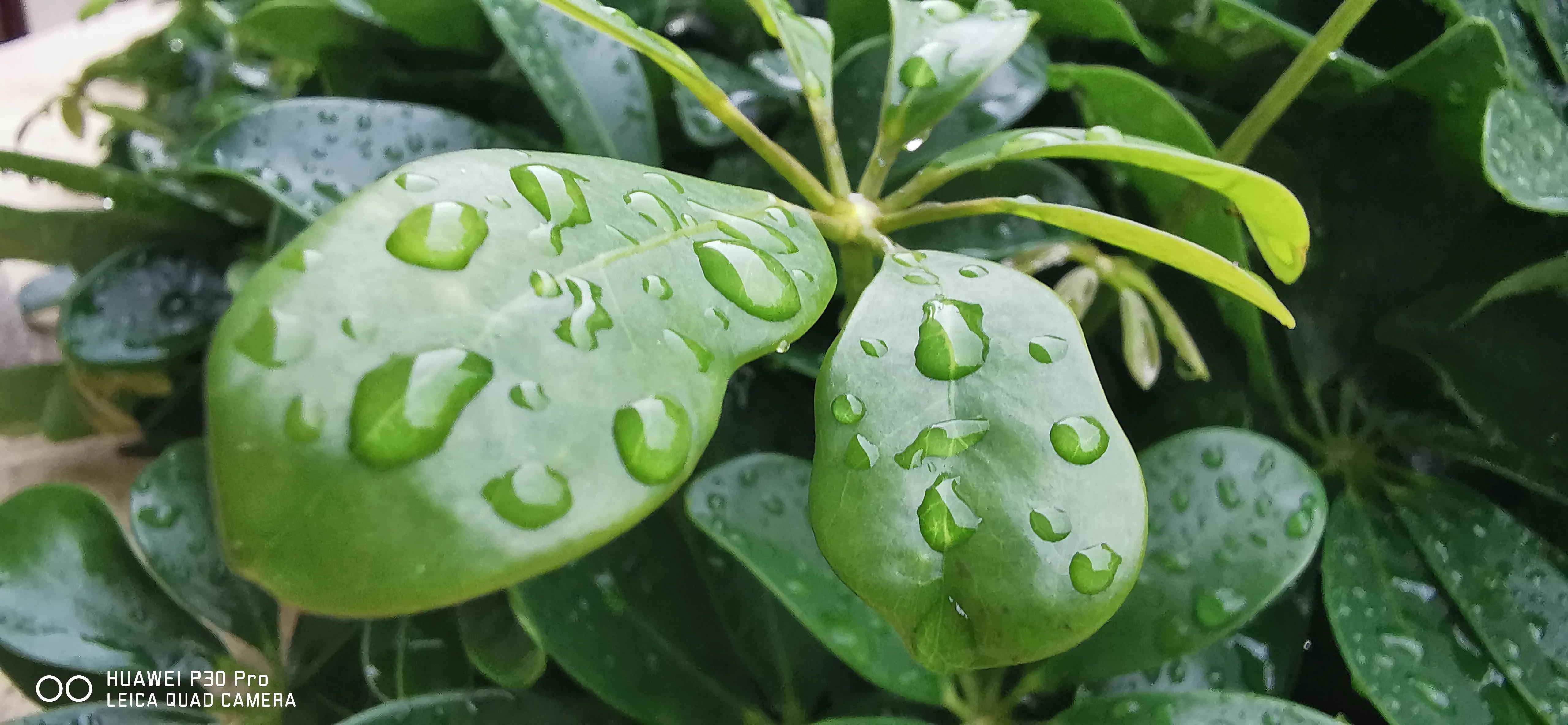 「原创散文」造就王妃的罗茨温泉漱玉