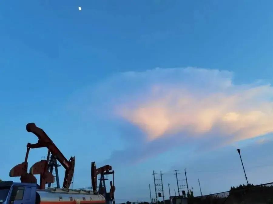 热搜1.9亿的“菠萝的海”，其实还产油