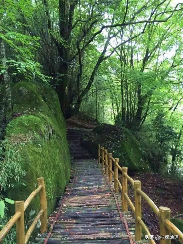 陕西云雾山在哪,陕西云雾山鬼谷岭风景区