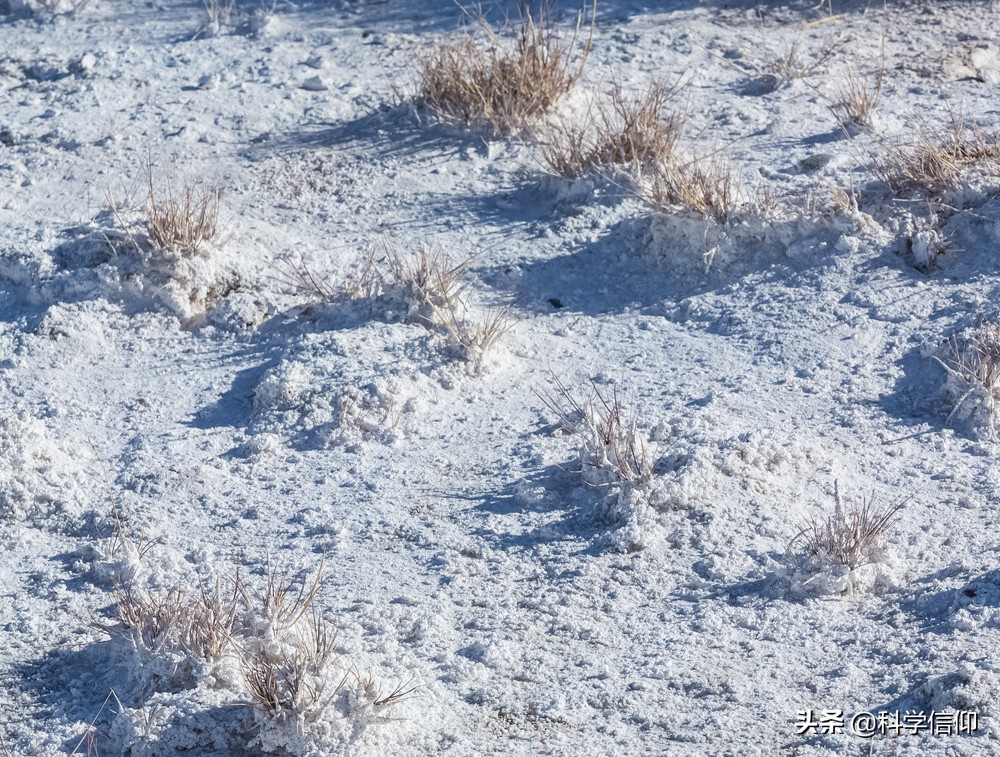 沙漠变成绿洲后会怎样,塔里木沙漠可以变成绿洲吗