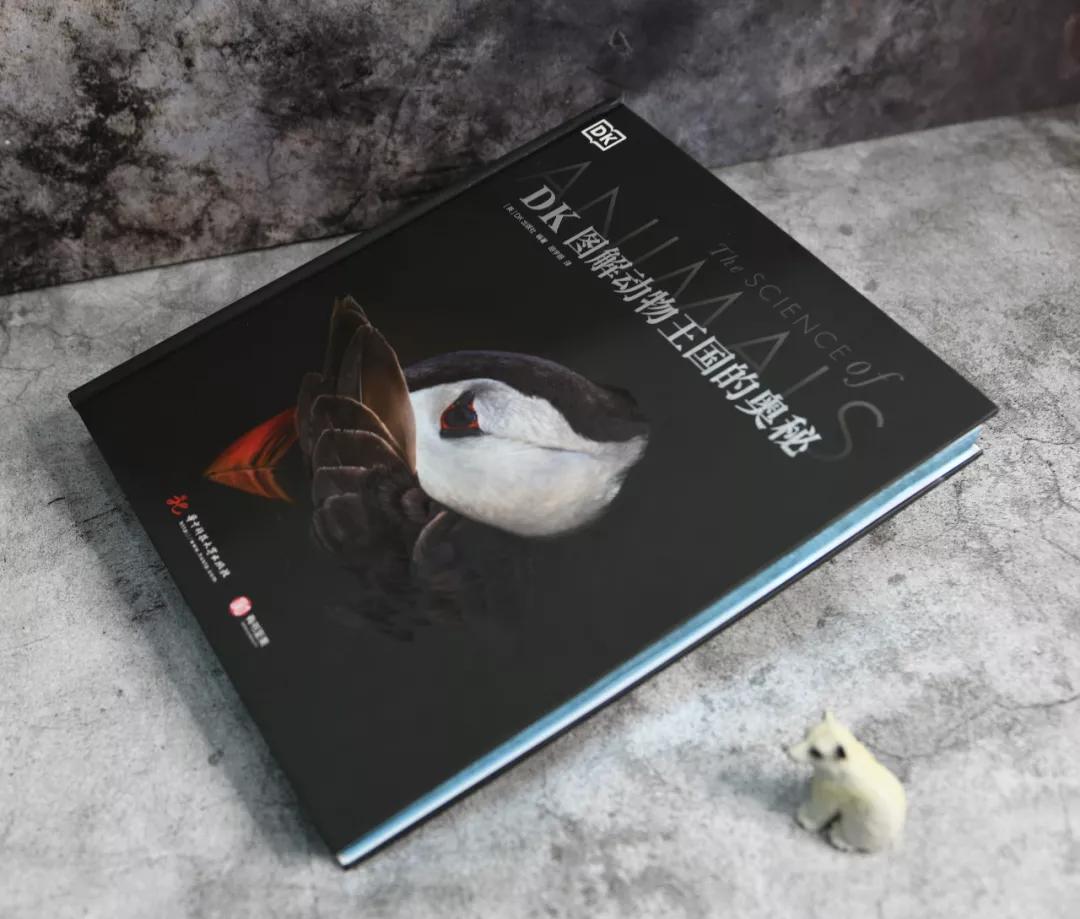 揭秘动物世界的“冷知识”,动物世界中的奇妙之处