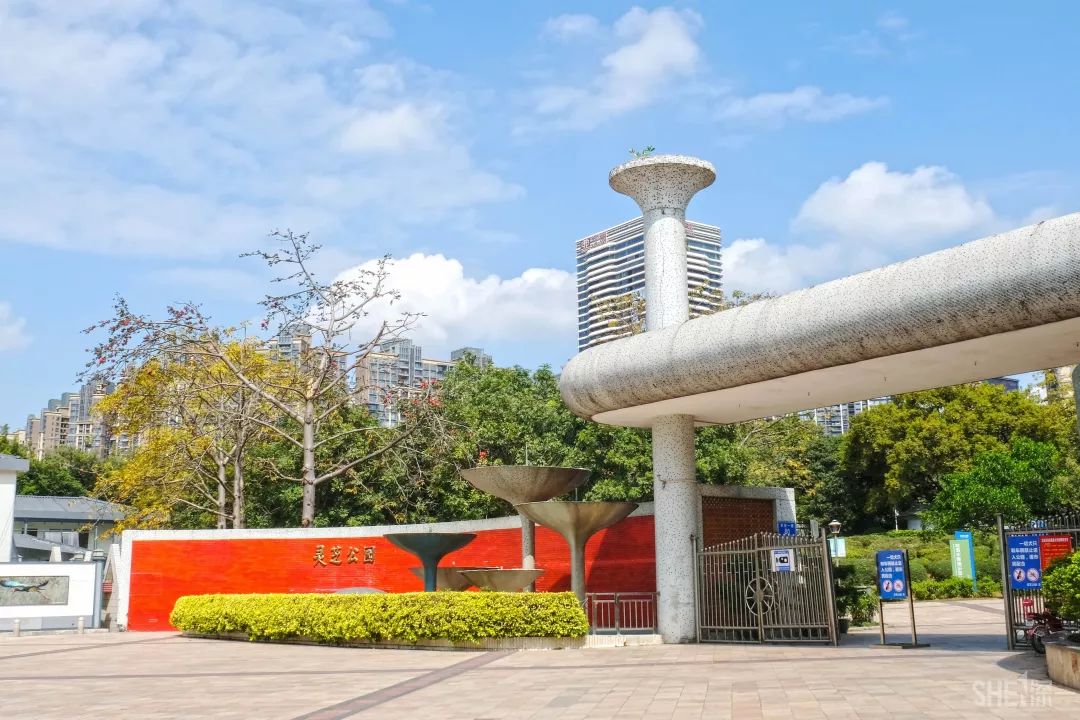 鍘夊浜嗘垜鐨勫ぇ瑗垮畨,鍘夊浜嗘垜鐨勫ぇ鑸熷北