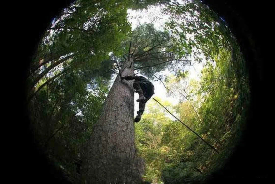 约吗？本周走进白山市临江市，这个安排很Nice