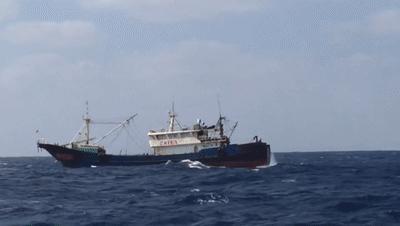 屋内不打伞、玩火会尿床，小时候听过的谚语科学分析出来有道理？