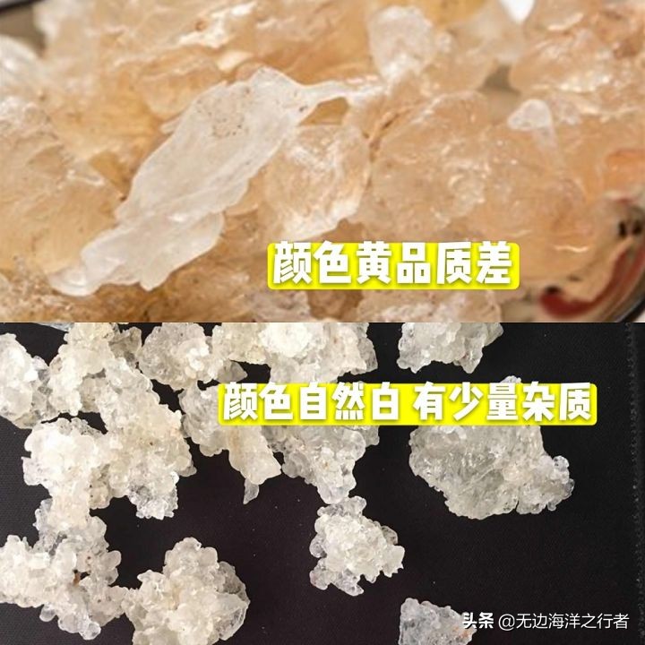 雪燕批发多少钱一斤,雪燕订单