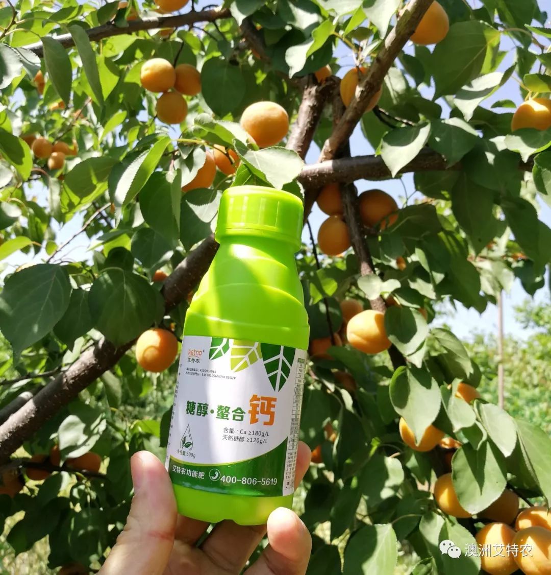 什么糖醇钙肥最好,糖醇钙和钙肥水溶肥有什么区别