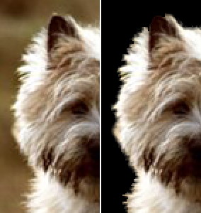 如何用photoshop抠图新手入门教程,photoshop快速抠图几种方法