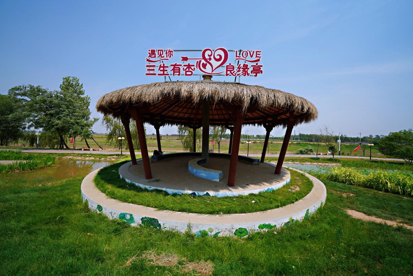 “杏运”来袭：这个县城一件事儿坚持了28年