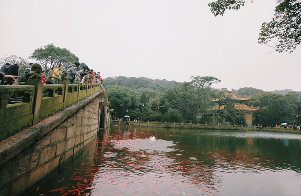 普陀山为什么这么贵,普陀山为何是中国十大名山