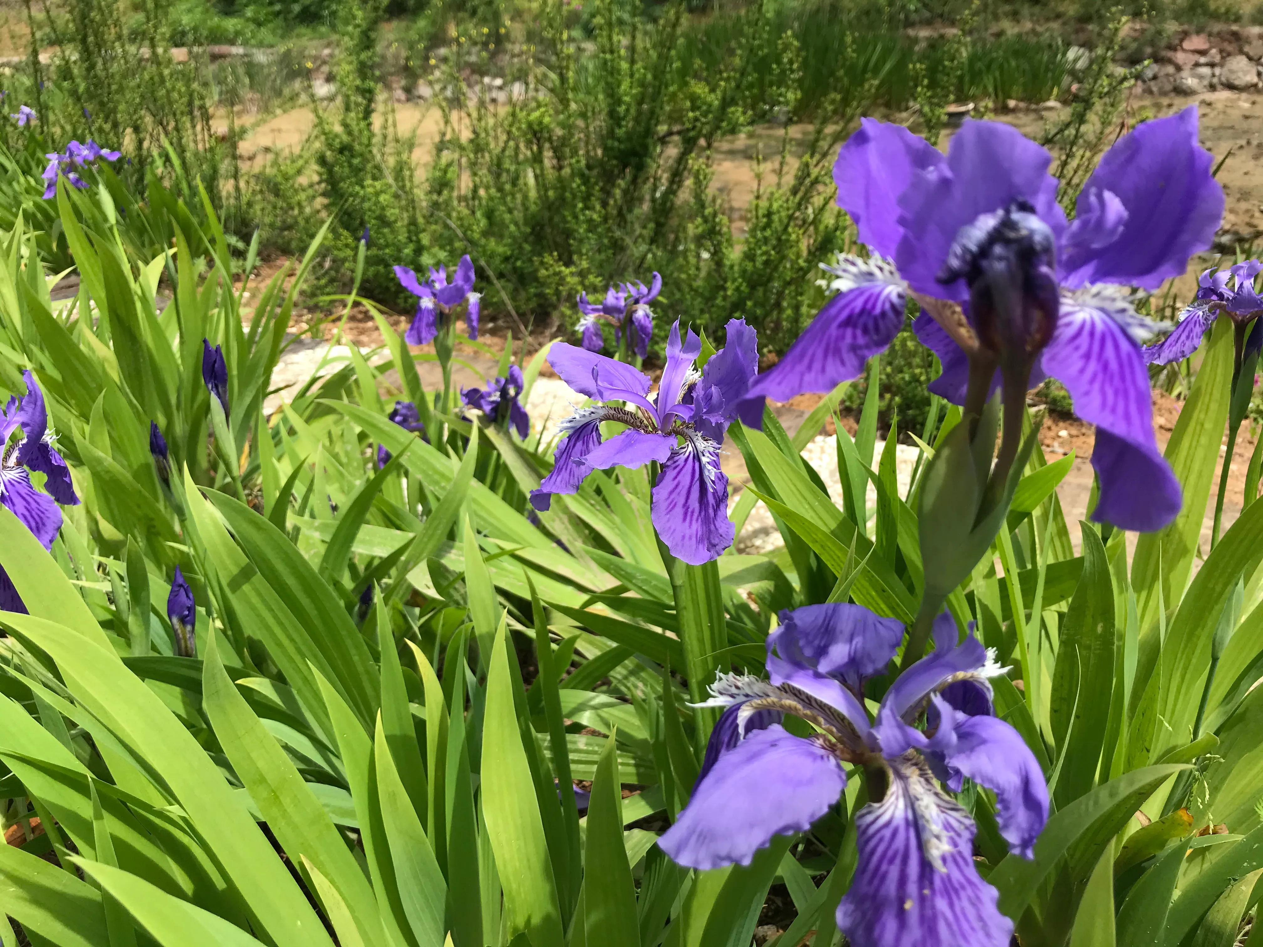 踏青山海秘境,石塘竹海游玩的最佳季节