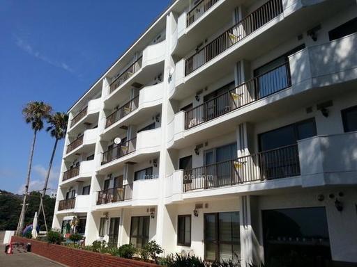 英国空姐丑闻案件,英国空姐事件