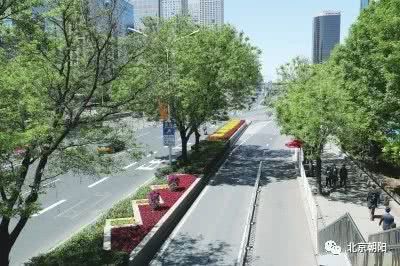 朝阳群众最新动态,朝阳群众辉煌战绩