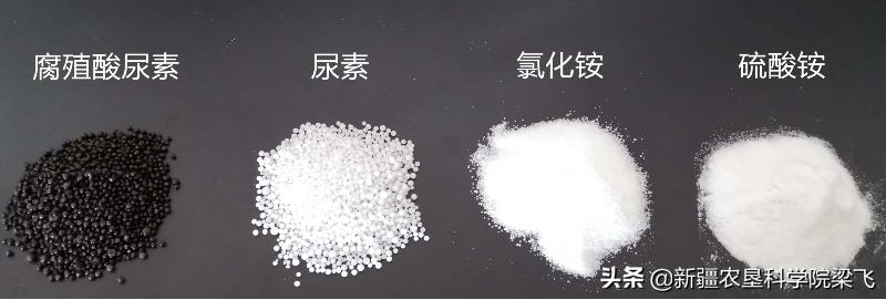 正确认识生物菌肥,正确认识食品添加剂