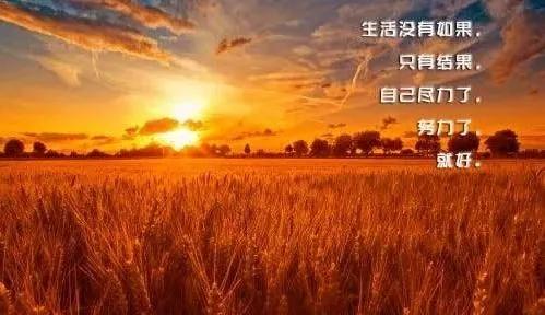 海到尽处天作岸励志名言短句霸气,励志语录精辟短句朋友圈