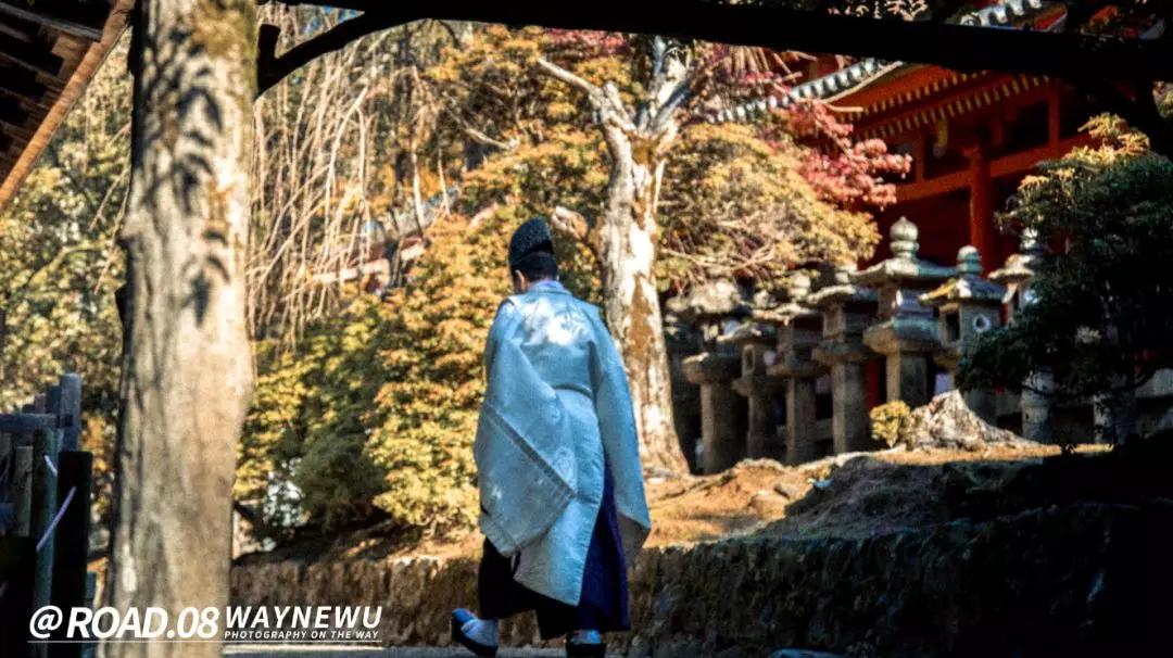 东京至富士山骑行,骑行日本