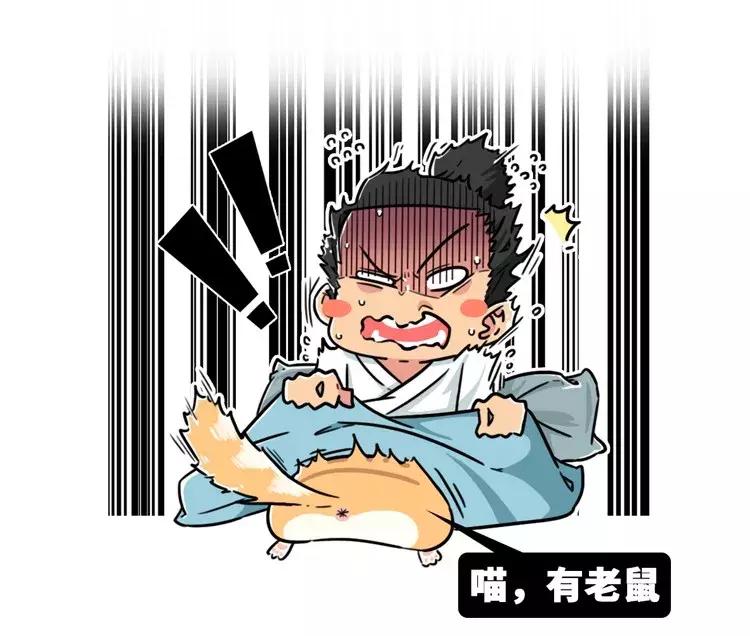 古代猫奴是什么意思,古代猫奴