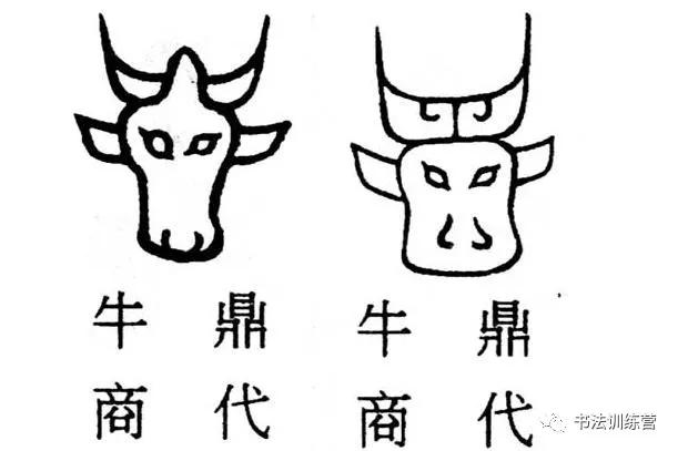 牛字从古至今的写法过程与演变,牛的字怎么写才好看