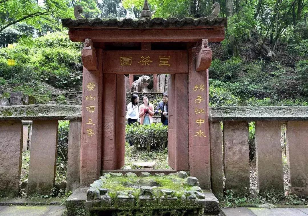 四川最著名的四个古代名山,四川十大名山排名榜