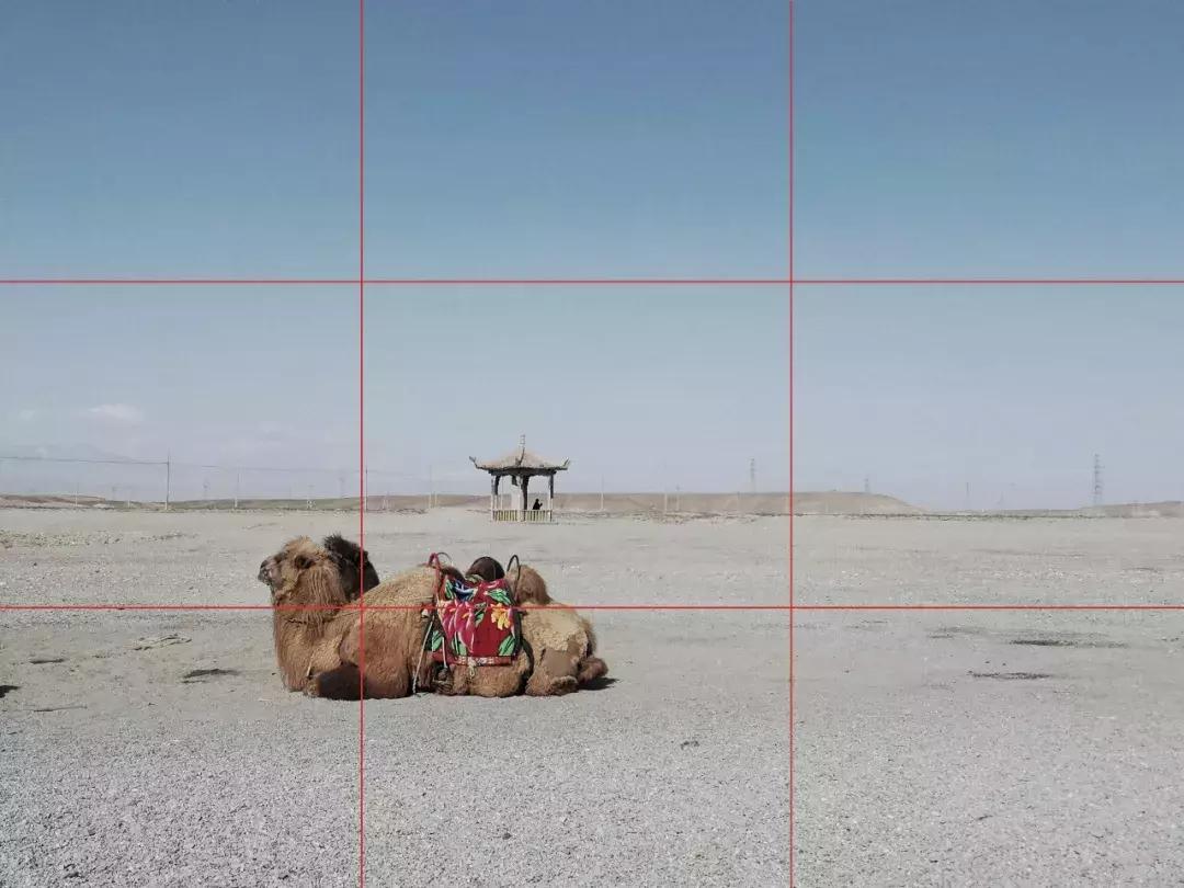 常用摄影构图方法,手机摄影构图