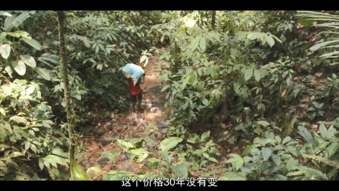 为了这部敏感剧，她差点把命丢了